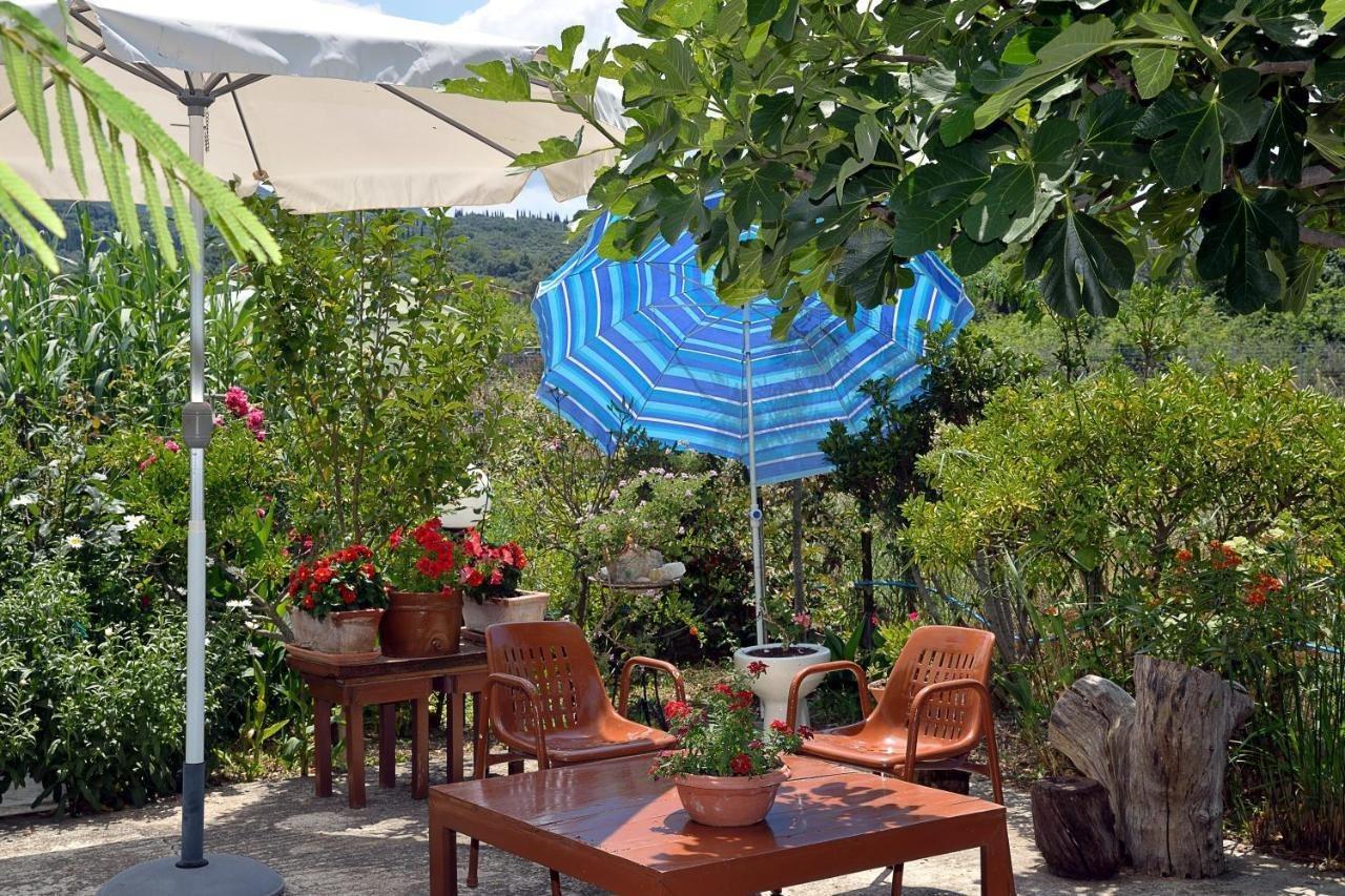 Apartment Feeloxenia Corfu *